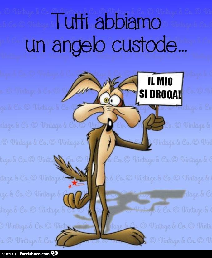 il webmaster... Image