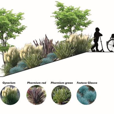 Presentazione Nuovo Polo 18